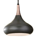 P1253DBZ Lighting/Ceiling Lights/Pendants