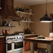 P1253DBZ Lighting/Ceiling Lights/Pendants