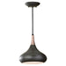 P1253DBZ Lighting/Ceiling Lights/Pendants