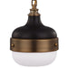 P1282DAB/MB Lighting/Ceiling Lights/Pendants