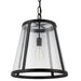 P1289ORB Lighting/Ceiling Lights/Pendants