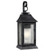 OL10602DWZ Lighting/Outdoor Lighting/Outdoor Wall Lights