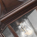 OL13100PTBZ Lighting/Outdoor Lighting/Outdoor Wall Lights