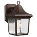 OL13100PTBZ Lighting/Outdoor Lighting/Outdoor Wall Lights