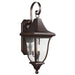 OL13102PTBZ Lighting/Outdoor Lighting/Outdoor Wall Lights
