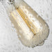 P1461SN Lighting/Ceiling Lights/Pendants