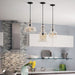 P5333-20 Lighting/Ceiling Lights/Pendants