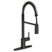5923BL Kitchen/Kitchen Faucets/Pull Down Spray Faucets