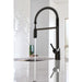 5923BL Kitchen/Kitchen Faucets/Pull Down Spray Faucets