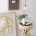 3747PL Lighting/Ceiling Lights/Pendants