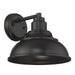5-5631-DS-13 Lighting/Outdoor Lighting/Outdoor Wall Lights