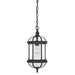 5-0631-BK Lighting/Outdoor Lighting/Outdoor Pendants