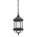 5-0631-BK Lighting/Outdoor Lighting/Outdoor Pendants