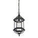 5-0631-BK Lighting/Outdoor Lighting/Outdoor Pendants