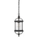 5-0631-BK Lighting/Outdoor Lighting/Outdoor Pendants