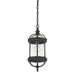 5-0631-BK Lighting/Outdoor Lighting/Outdoor Pendants