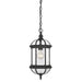 5-0631-BK Lighting/Outdoor Lighting/Outdoor Pendants