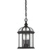 5-0635-BK Lighting/Outdoor Lighting/Outdoor Pendants