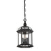 5-0635-BK Lighting/Outdoor Lighting/Outdoor Pendants