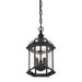 5-0635-BK Lighting/Outdoor Lighting/Outdoor Pendants