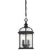 5-0635-BK Lighting/Outdoor Lighting/Outdoor Pendants