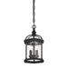 5-0635-BK Lighting/Outdoor Lighting/Outdoor Pendants