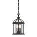 5-0635-BK Lighting/Outdoor Lighting/Outdoor Pendants