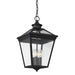 5-145-BK Lighting/Outdoor Lighting/Outdoor Pendants