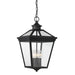 5-145-BK Lighting/Outdoor Lighting/Outdoor Pendants