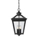 5-145-BK Lighting/Outdoor Lighting/Outdoor Pendants