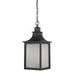 5-256-13 Lighting/Outdoor Lighting/Outdoor Pendants