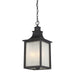 5-256-13 Lighting/Outdoor Lighting/Outdoor Pendants