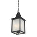 5-256-13 Lighting/Outdoor Lighting/Outdoor Pendants
