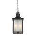 5-256-13 Lighting/Outdoor Lighting/Outdoor Pendants