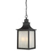 5-256-13 Lighting/Outdoor Lighting/Outdoor Pendants
