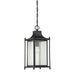 5-3455-BK Lighting/Outdoor Lighting/Outdoor Pendants