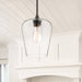 7-4036-1-13 Lighting/Ceiling Lights/Pendants