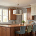 7-488-6-53 Lighting/Ceiling Lights/Pendants