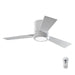 3CLYR42RZWD-V1 Lighting/Ceiling Lights/Ceiling Fans