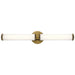 45685NBRLED Lighting/Wall Lights/Vanity & Bath Lights
