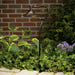 15422AGZ Lighting/Outdoor Lighting/Landscape & Path Lighting