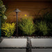 15470AZT Lighting/Outdoor Lighting/Landscape & Path Lighting