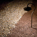 15807AZT27R Lighting/Outdoor Lighting/Landscape & Path Lighting