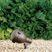 15241AZT Lighting/Outdoor Lighting/Landscape & Path Lighting