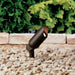 15398AZT Lighting/Outdoor Lighting/Landscape & Path Lighting