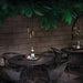15501CBR Lighting/Outdoor Lighting/Outdoor Pendants
