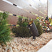 16016AZT30 Lighting/Outdoor Lighting/Landscape & Path Lighting