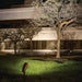 16219AZT30 Lighting/Outdoor Lighting/Landscape & Path Lighting