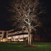 16219AZT30 Lighting/Outdoor Lighting/Landscape & Path Lighting