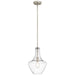 42141NICS Lighting/Ceiling Lights/Pendants